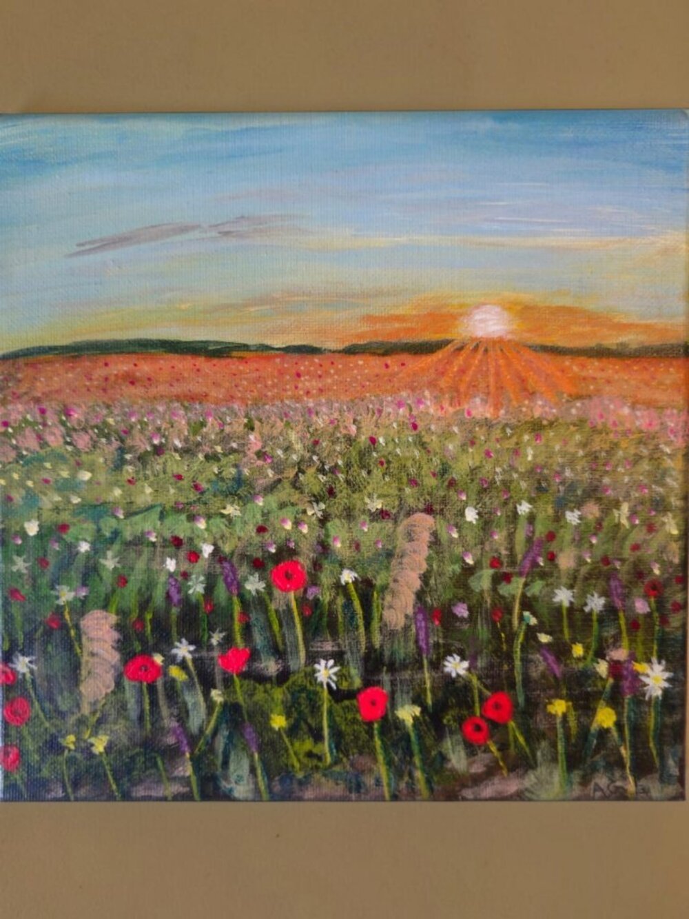 Poppy Field Sunset Original Canvas Painting Small 8 x 8 acrylic sun